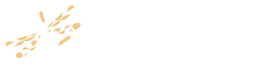 Lindsey Shuford Logo